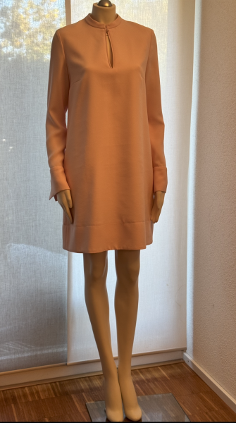 SLY Kleid in Rose